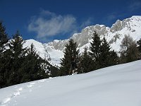 Con le ciaspole dal Passo della Presolana alle Baite Cassinelli e Corzene in Presolana il 4 febbraio 09 - FOTOGALLERY